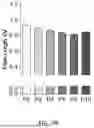 Fig. 77 - METHODS AND KITS FOR PREDICTING CANCER PROGNOSIS AND METASTASIS
