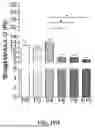 Fig. 79 - METHODS AND KITS FOR PREDICTING CANCER PROGNOSIS AND METASTASIS