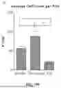 Fig. 84 - METHODS AND KITS FOR PREDICTING CANCER PROGNOSIS AND METASTASIS