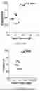 Fig. 90 - METHODS AND KITS FOR PREDICTING CANCER PROGNOSIS AND METASTASIS