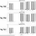 Fig. 09 - Method, System and Computer Program for Detecting Faults in Induction Motors