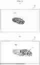 Fig. 06 - ELECTRONIC DEVICE, METHOD FOR CONTROLLING ELECTRONIC DEVICE, AND PROGRAM