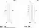 Fig. 02 - REFLECTIVE, TRANSMISSIVE, OPAQUE AND SCATTERING WINDOW