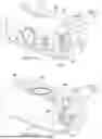 Fig. 09 - INFORMATION HANDLING SYSTEM CAMERA MULTI-AXIS DISPLAY BRACKET