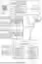 Fig. 02 - AUTOMATIC CREATION OF BACKUP ENTITIES