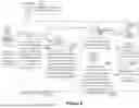 Fig. 09 - METHOD AND APPARATUS FOR AUTOMATED DIGITAL RIGHTS ENFORCEMENT AND MANAGEMENT METHODS