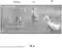Fig. 17 - ARTIFICIAL INTELLIGENCE FOR ACTIVITY PERSONALIZATION