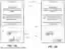Fig. 09 - ADAPTIVE FLOW ENGINE IMPLEMENTING DOWNSTREAM VOICE-AI INFORMATION-GATHERING