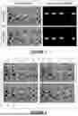 Fig. 02 - REAL-TIME POSE ESTIMATION THROUGH BIPARTITE MATCHING OF HEATMAPS OF JOINTS AND PERSONS AND DISPLAY OF VISUALIZATIONS BASED ON THE SAME