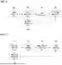 Fig. 07 - METHOD FOR ENCODING/DECODING IMAGE AND RECORDING MEDIUM STORING INSTRUCTIONS FOR EXECUTING THE ENCODING METHOD