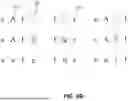 Fig. 08 - Visual Reading Decoding System And Methods Of Performing The Same