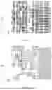 Fig. 09 - DISPLAY SUBSTRATE AND DISPLAY DEVICE