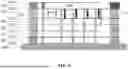 Fig. 09 - QUANTUM MEMORY CELL USING BROADBAND SUPERCONDUCTING TUNABLE RESONATOR