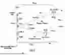 Fig. 09 - RECONFIGURABLE INTELLIGENT SURFACE (RIS) CIRCUIT IN A WIRELESS COMMUNICATIONS SYSTEM (WCS)