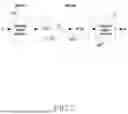 Fig. 09 - METHOD AND APPARATUS FOR PERFORMING COMPRESSION AND RECONSTRUCTION OF CSI BASED ON AI MODEL IN WIRELESS COMMUNICATION SYSTEM
