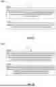 Fig. 19 - DISTRIBUTED EXTENDED REALITY (XR) COMPUTING OPTIMIZATION AT CLIENT DEVICE IN COMMUNICATION WITH EDGE NODE