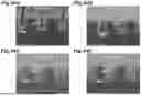 Fig. 45 - OPTICAL ELEMENT