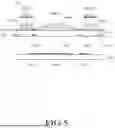 Fig. 06 - Display Device and Vehicle Comprising Thereof