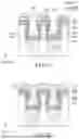 Fig. 09 - SEMICONDUCTOR DEVICE AND METHOD FOR FORMING THE SAME