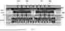 Fig. 06 - MULTIDIE AND WAFER SEMICONDUCTOR STRUCTURES