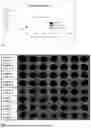 Fig. 02 - COMPOSITIONS, KITS AND METHODS FOR WEED CONTROL