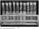 Fig. 02 - TERNARY PROTEIN-BASED COMPOSITE SYSTEM AND PREPARATION METHOD THEREOF