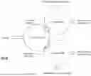 Fig. 33 - FORCE IMPACT REDUCING AND FORCE IMPACT DISTRIBUTING MATERIAL
