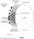 Fig. 37 - FORCE IMPACT REDUCING AND FORCE IMPACT DISTRIBUTING MATERIAL