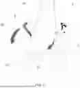 Fig. 07 - PORTABLE FOLDING CHAIR