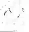 Fig. 08 - PORTABLE FOLDING CHAIR