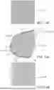 Fig. 12 - LEAFLETS WITH POLYMERIC TISSUE-ADHERENT SURFACES