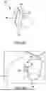 Fig. 22 - FLUID COLLECTION DEVICES ADJUSTABLE BETWEEN A VACUUM-BASED ORIENTATION AND A GRAVITY-BASED ORIENTATION, AND RELATED SYSTEMS AND METHODS