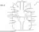 Fig. 05 - Thermal Contact Pad Assembly