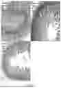 Fig. 24 - METHODS FOR TREATMENT OR PREVENTION OF DAMAGE RESULTING FROM RADIATION, TRAUMA OR SHOCK