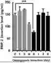 Fig. 01 - COMPOSITION FOR PROMOTING DIFFERENTIATION OF STEM CELLS