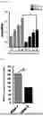 Fig. 06 - COMPOSITION FOR PROMOTING DIFFERENTIATION OF STEM CELLS