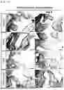 Fig. 22 - COMPOSITION FOR PROMOTING DIFFERENTIATION OF STEM CELLS