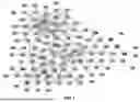 Fig. 04 - METHODS AND COMPOSITIONS OF QUATERNARY IMMUNOMODULATORY NANOPARTICLES FOR MEDICAL APPLICATIONS AND IMMUNOTHERAPY