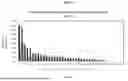 Fig. 22 - METHODS OF ENHANCING IMMUNOGENICITY OF POORLY IMMUNOGENIC ANTIGEN-SPECIFIC VACCINES USING ORAL YEAST BETA-GLUCANS