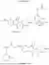 Fig. 07 - ISOINDOLINONE DERIVATIVE HAVING ARYLCYCLOALKYLAMIDE STRUCTURE, AND USE THEREOF