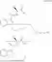 Fig. 321 - CB1 LIGAND CONJUGATED COMPOUNDS AND USES THEREOF