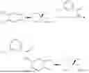 Fig. 167 - IRAK4 DEGRADATION AGENT AND USE THEREOF