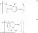 Fig. 22 - STABLE 4-ISOXAZOLINE CONJUGATES