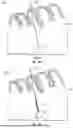Fig. 02 - AGENT DELIVERY CATHETER WITH MICROPORE DESIGN
