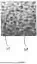 Fig. 09 - Mechanical Reticulation Of Polymeric-Based Closed Cell Foams