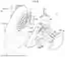 Fig. 06 - RECLINING DEVICE AND VEHICLE SEAT