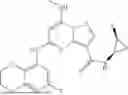 Fig. 294 - TYK2 PSEUDOKINASE LIGANDS