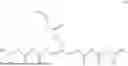 Fig. 167 - IONIZABLE LIPIDS WITH LINEAR HEAD GROUPS