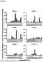 Fig. 07 - TGF-BETA-1 VACCINE
