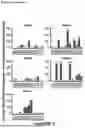 Fig. 08 - TGF-BETA-1 VACCINE